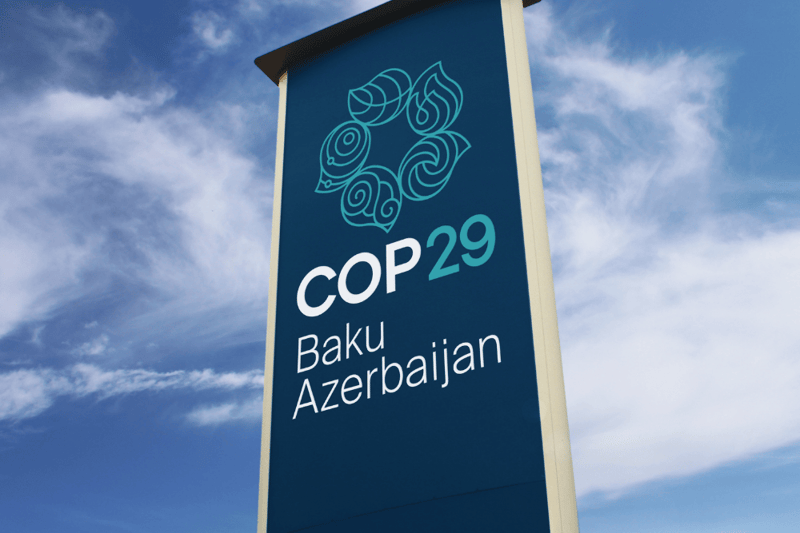 COP29