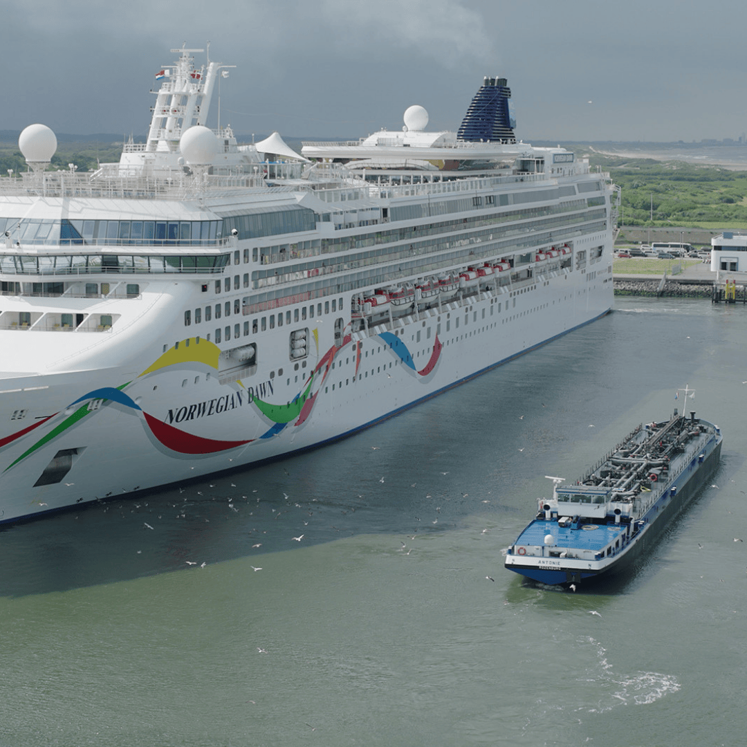 Norwegian Dawn_square